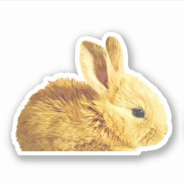 Sticker Portrait Petit Bunny (Devant)