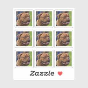 Sticker Portrait photo de chien do-it-yourself