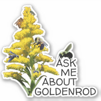 Sticker Posez-moi des questions sur Goldenrod et Pollinisa