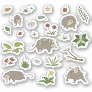 Sticker Possum dans un champ de Berry