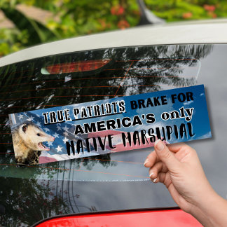Sticker Possum - le seul Marsupial autochtone d'Am