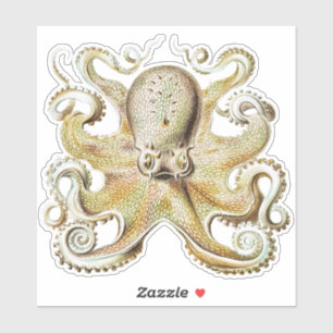 Sticker Poulpe vintage Ernst Haeckel Vie nautique marine