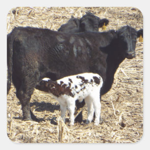 Sticker pour allaiter les vaches mignonnes et le v