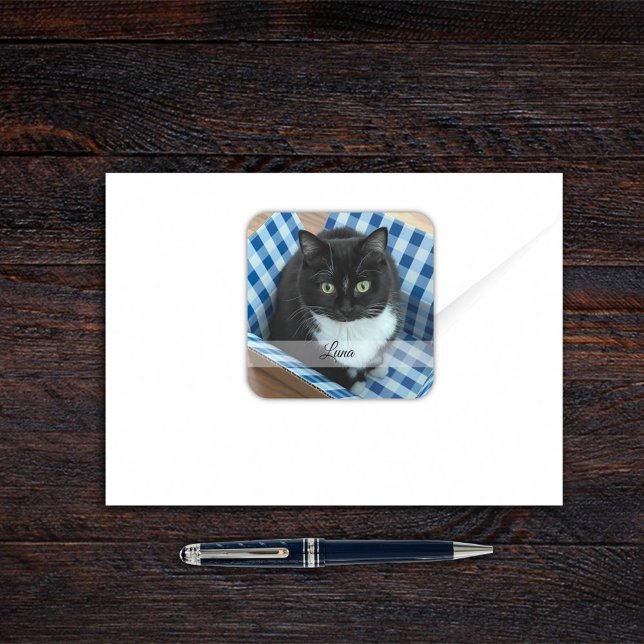 Sticker pour animal de compagnie photo avec nom (Créateur téléchargé)