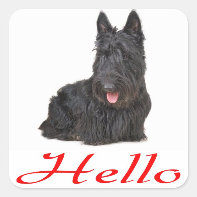 Sticker pour chien de chiot écossais Terrier / Éti (Devant)