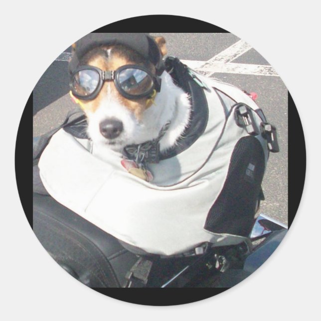 Sticker pour chien de porc (Devant)