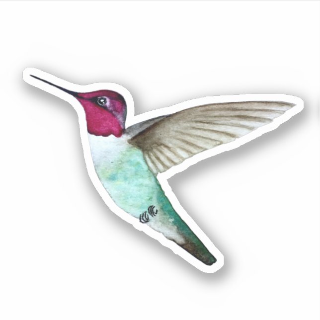 Sticker pour colibri d'Anna (Devant)