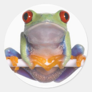 Sticker pour grenouille à arbre 2