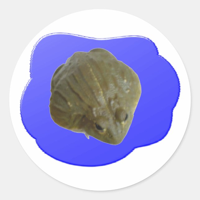 Sticker pour grenouille à bulles (Devant)