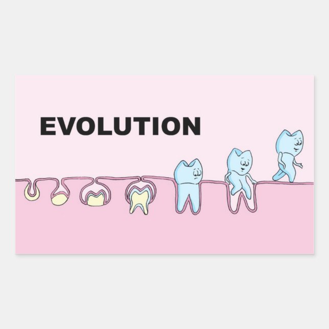 Sticker pour la dentisterie de l'évolution (Devant)