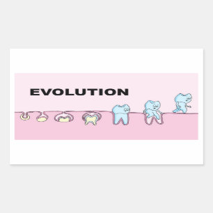 Sticker pour la dentisterie de l'évolution