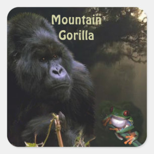 Sticker pour la faune africaine des gorilles de mo