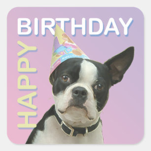 Sticker pour l'anniversaire de Boston Terrier