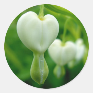 Sticker pour le coeur propre