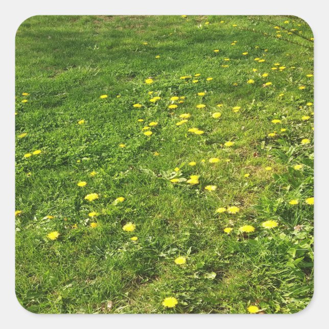 Sticker pour l'herbe et les Dandelions (Devant)