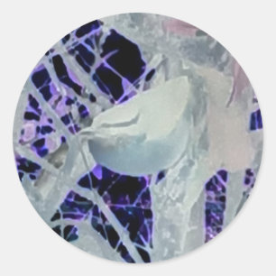 Sticker pour oiseaux Incognito