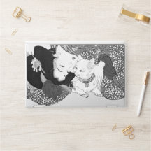 Teasing cool chat noir et blanc