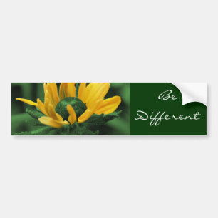 Sticker pour pare-chocs pour motifs différents