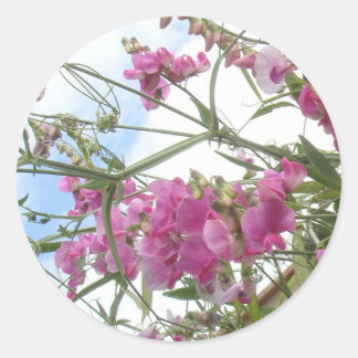 sticker pour pois doux