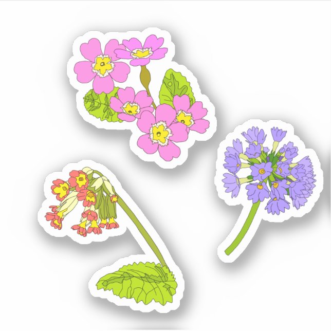 Sticker Primroses (Devant)