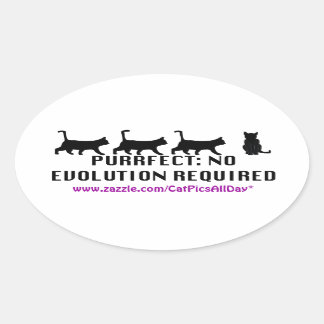 Sticker Promo Evolution Purrfect