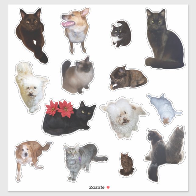 Sticker Quatorze mignons photo de chien et de chat (Feuille)