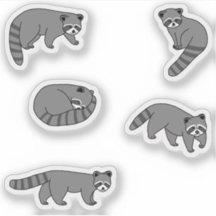 Sticker Raccoons
