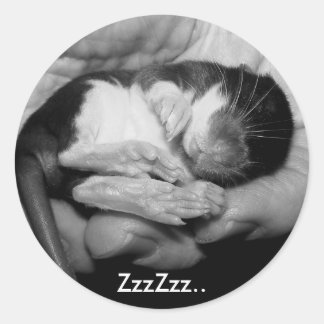 Sticker Rattie couchage