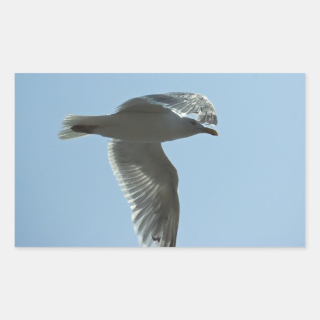 STICKER RECTANGULAIRE 2367 (Devant)