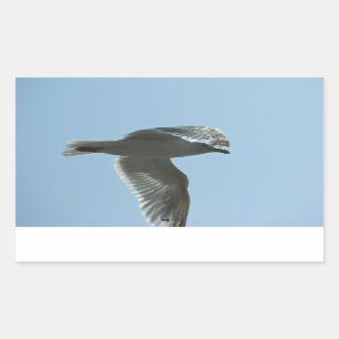STICKER RECTANGULAIRE 2367