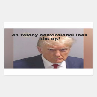 Sticker Rectangulaire 34 condamnations pour crime l'enferment Donald Tru