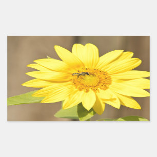 Sticker Rectangulaire Abeille sur tournesol