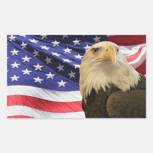 Sticker Rectangulaire Aigle et drapeau américains (Devant)
