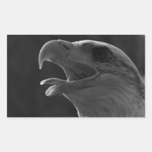 Sticker Rectangulaire Aigle noir et blanc