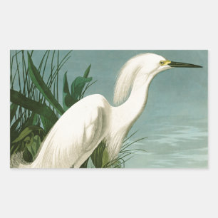 Sticker Rectangulaire Aigrette neigeuse d'Audubon oiseau Héron blanc orn