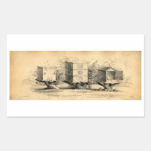 Sticker Rectangulaire Alouette d'apiculture Vintage