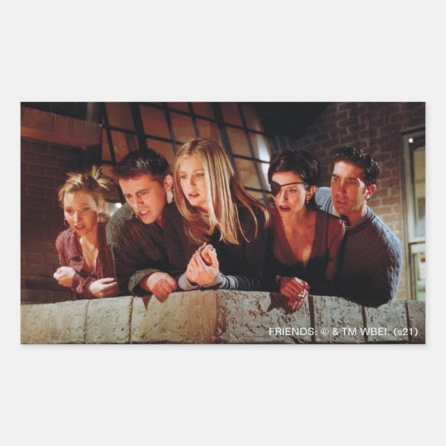 Sticker Rectangulaire AMIS™ | La Bande sur le Balcon (Devant)