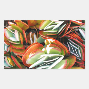 Sticker Rectangulaire Amour_