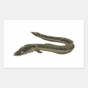 Sticker Rectangulaire Anguille