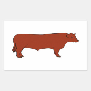 Sticker Rectangulaire Angus rouge Taureau