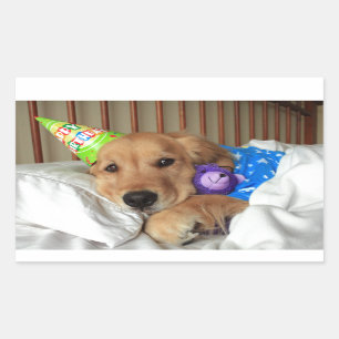 Sticker Rectangulaire Anniversaire du Golden Retriever