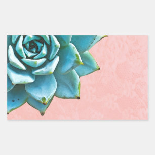 Sticker Rectangulaire Aquarelle Succulente Dentelle rose
