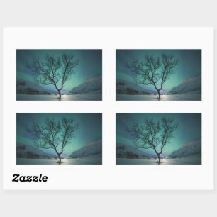 Sticker Rectangulaire Arborescence boréale