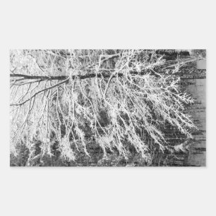 Sticker Rectangulaire Arbre À Érable En Neige