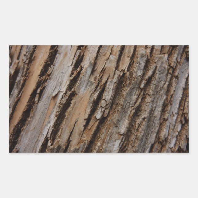 Sticker Rectangulaire Arbre écorce I Abstrait naturel texturé (Devant)