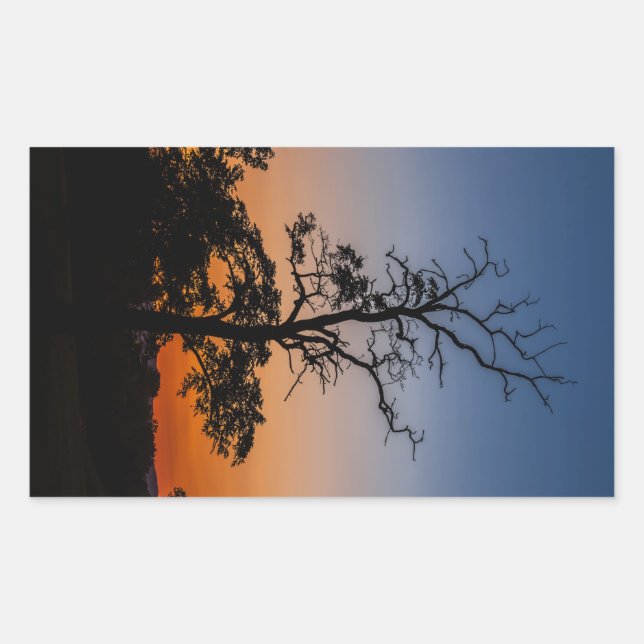 Sticker Rectangulaire Arbre sur un arrière - plan couché de soleil (Devant)