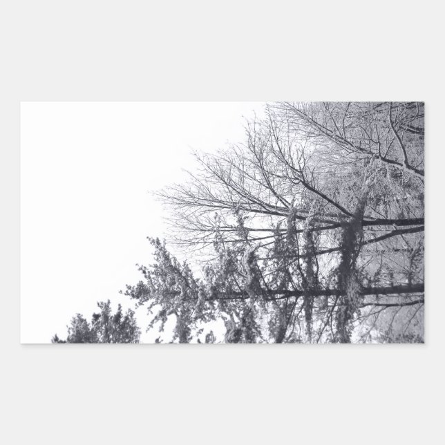 Sticker Rectangulaire Arbres couverts de neige : Verticaux (Devant)