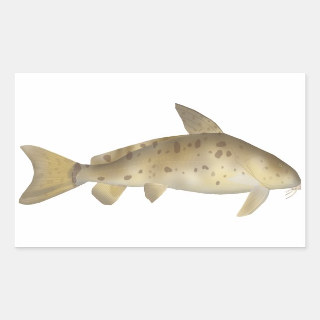 Sticker Rectangulaire Armado (Devant)