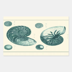Sticker Rectangulaire Art de coquillage rouge et vert