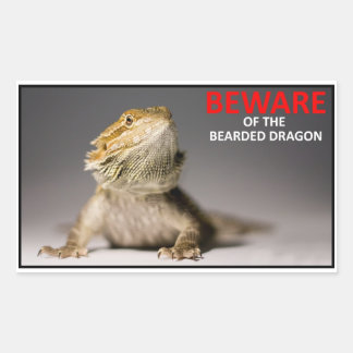 Sticker Rectangulaire ATTENTION au dragon barbu